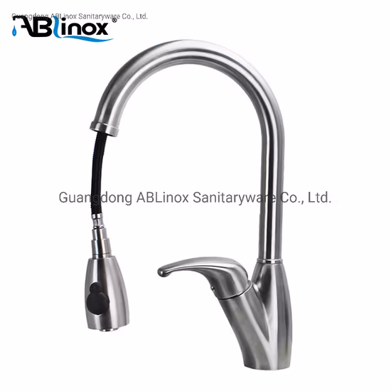 Rubinetto da cucina estraibile freddo con cartuccia calda e Sedal in acciaio inossidabile Cupc